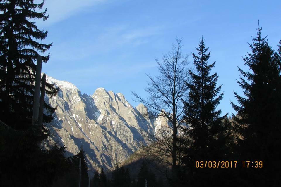 Valbona Eco Camping Hotel Buitenkant foto