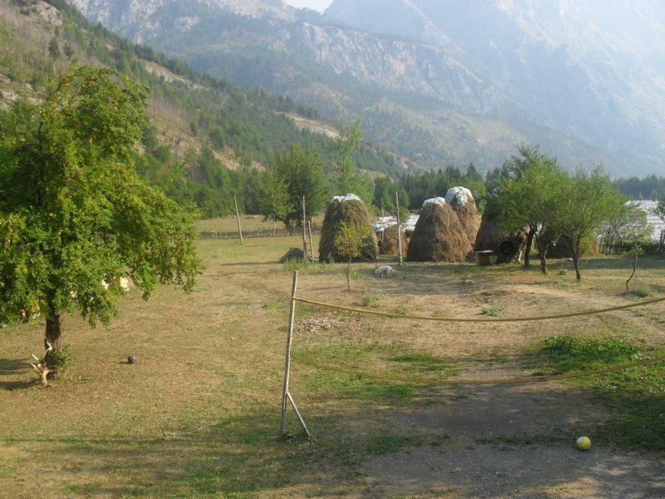 Valbona Eco Camping Hotel Buitenkant foto