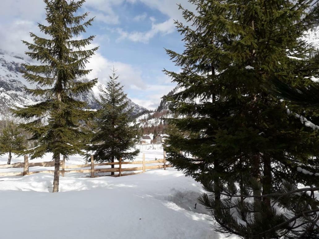 Valbona Eco Camping Hotel Buitenkant foto